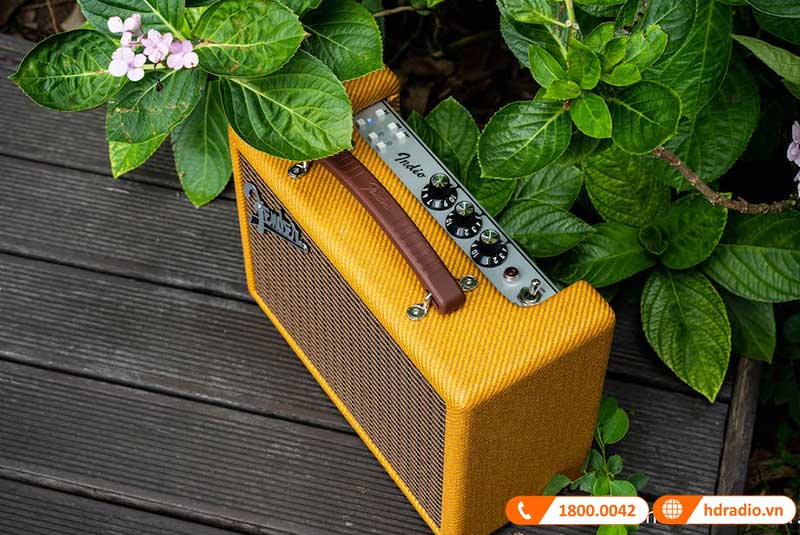 Thiet ke Loa Fender Indio 2 Tweed