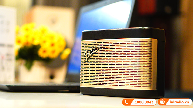 thiết kế Loa Fender Newport 2