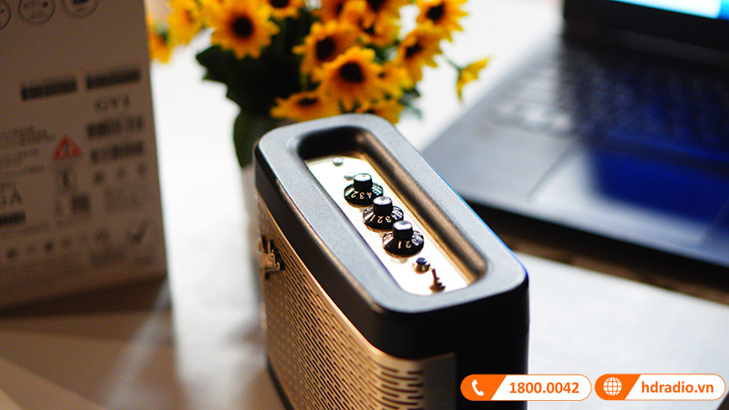 đặc điểm nổi bật Loa Fender Newport 2