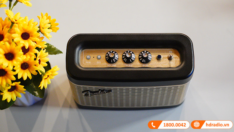 Loa Fender Newport 2 có bảng điều khiển ấn tượng