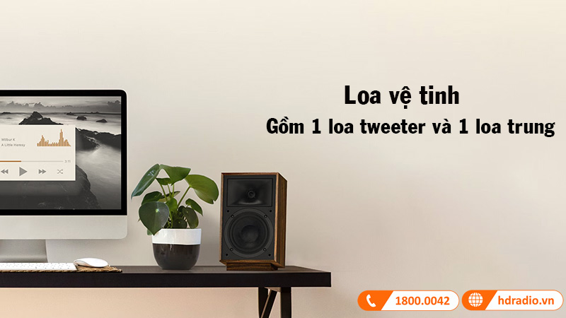 loa ve tinh gom 1 loa tweeter và 1 loa trung