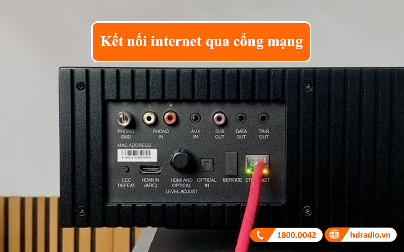 Cong internet loa mcintosh rs250