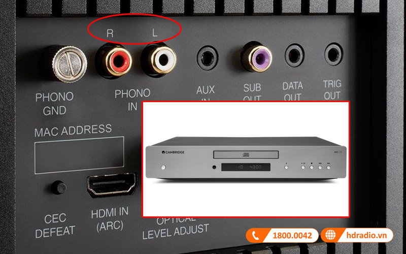 ket noi analog dau CD loa mcintosh rs250