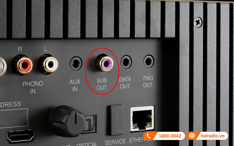 cong sub-out loa mcintosh rs250