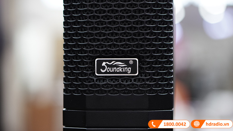 ảnh thực tế loa Soundking ARTOS1000 