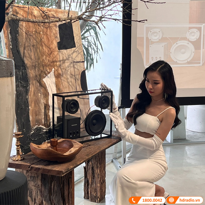 Loa Transparent Speaker-4