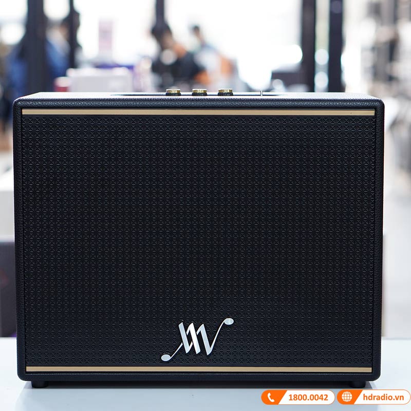 mặt trước loa Alpha Works Classic V100 