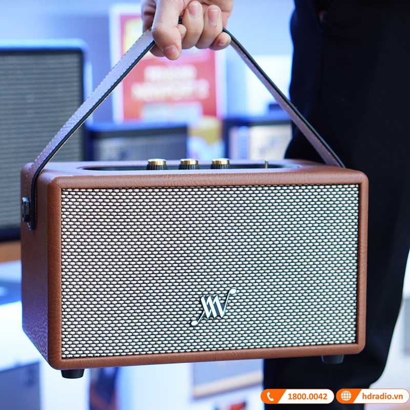 Loa Alpha Works Classic V60 ảnh thực tế