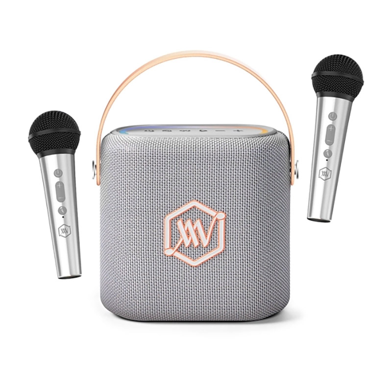 Loa Alpha Works Sonik 60, Pin 6h, 40W, Bluetooth v5.3, AUX, USB-1