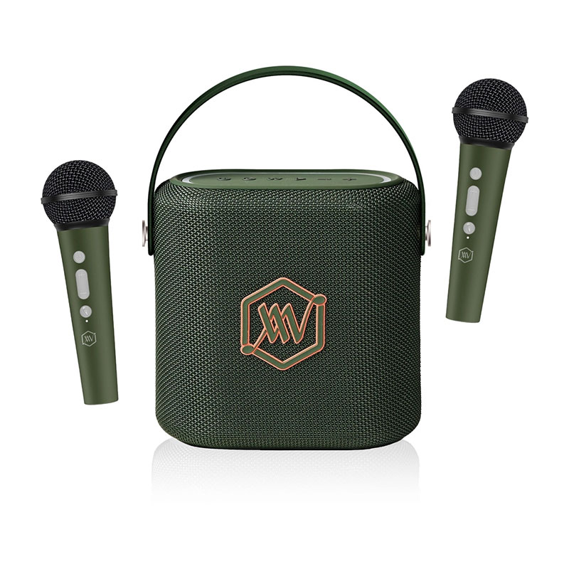 Loa Alpha Works Sonik 60, Pin 6h, 40W, Bluetooth v5.3, AUX, USB-5