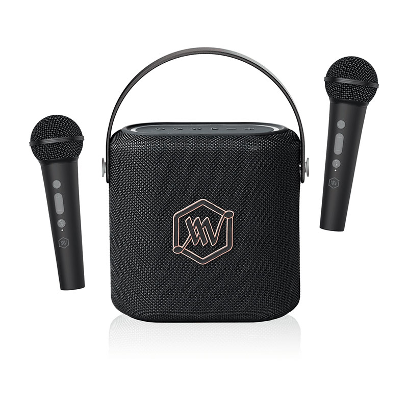 Loa Alpha Works Sonik 60, Pin 6h, 40W, Bluetooth v5.3, AUX, USB