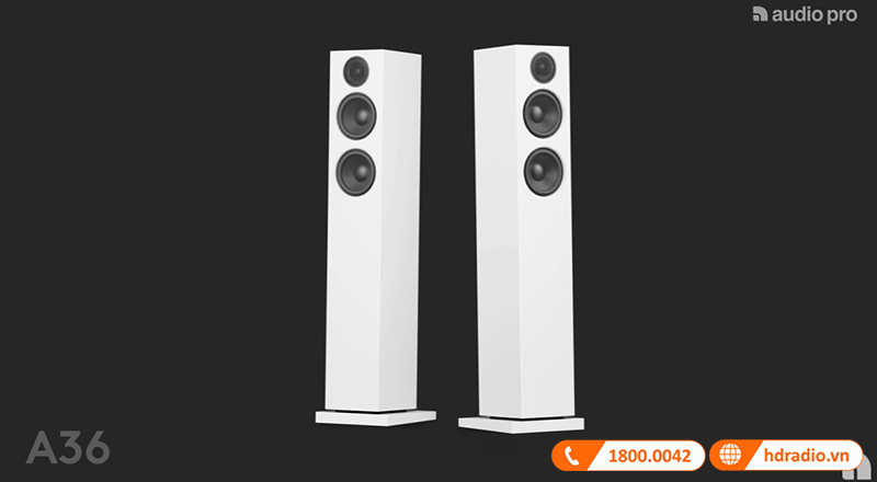 cau truc cu loa cua loa audio pro a36