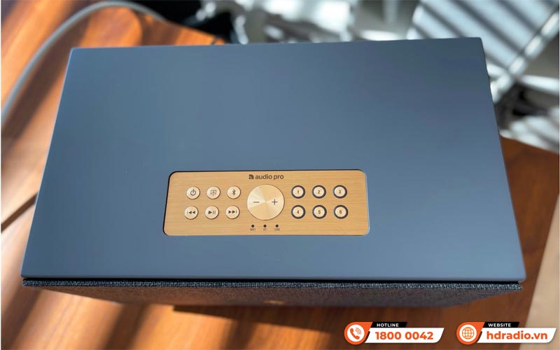 Loa AudioPro C10 MKII