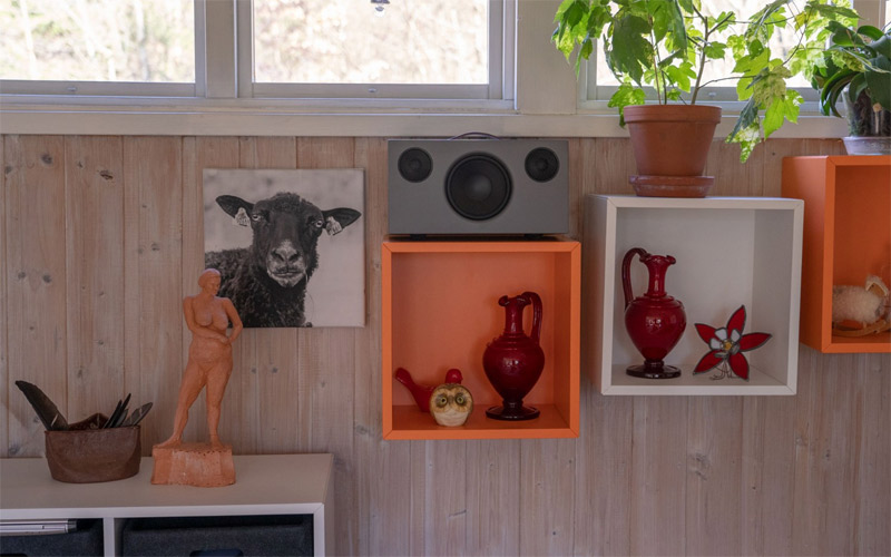 Loa AudioPro Addon C10