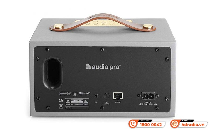 Loa AudioPro Addon C3