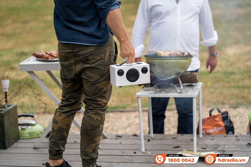 Loa AudioPro Addon C3