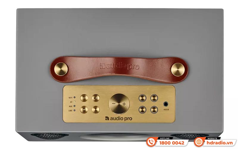 Loa Audio Pro Addon C5