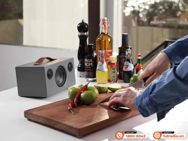 Loa AudioPro Addon C5A