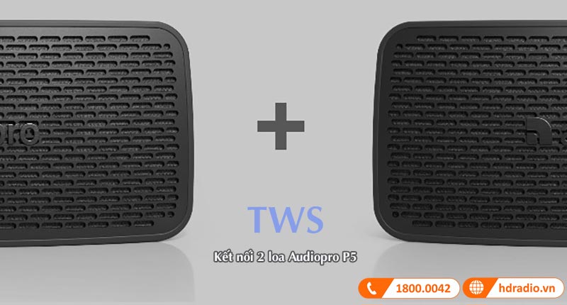 Loa Audio Pro P5