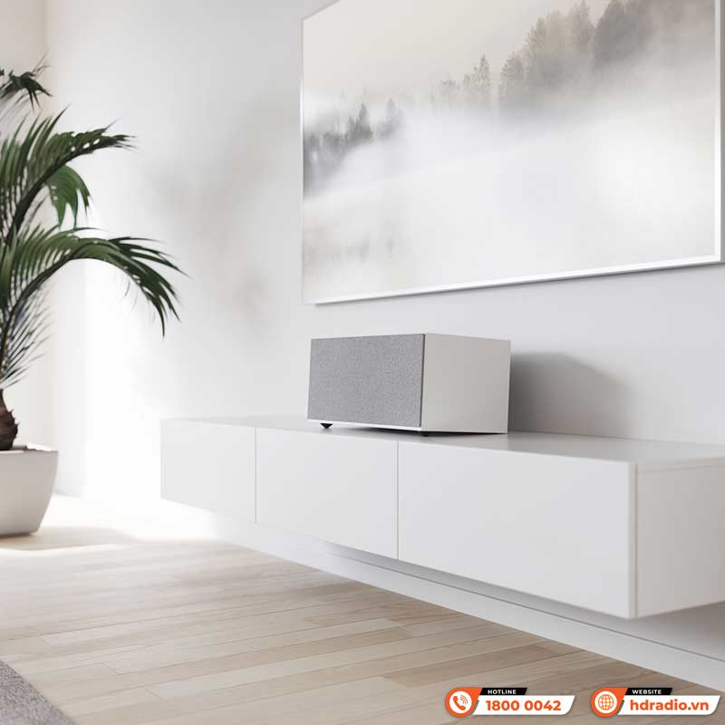 Bluetooth Loa AudioPro C20