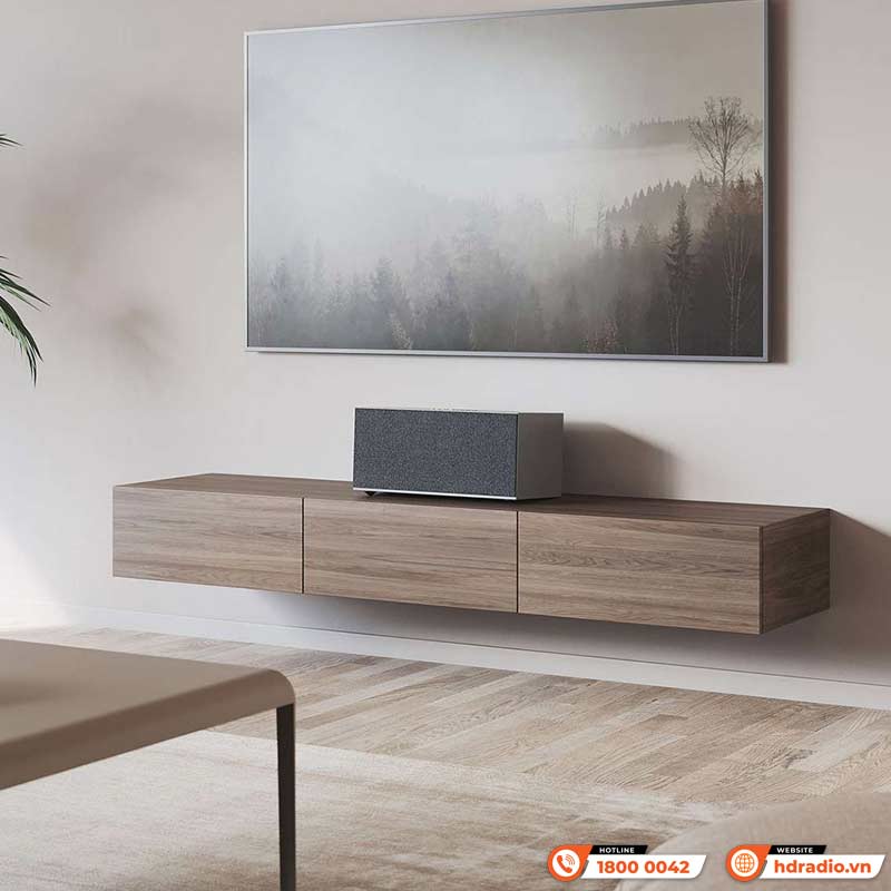 Thiết kế Loa AudioPro C20