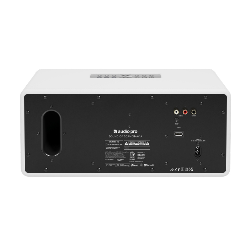 Loa AudioPro D-2, 100W, Bluetooth, WiFi, RCA-5