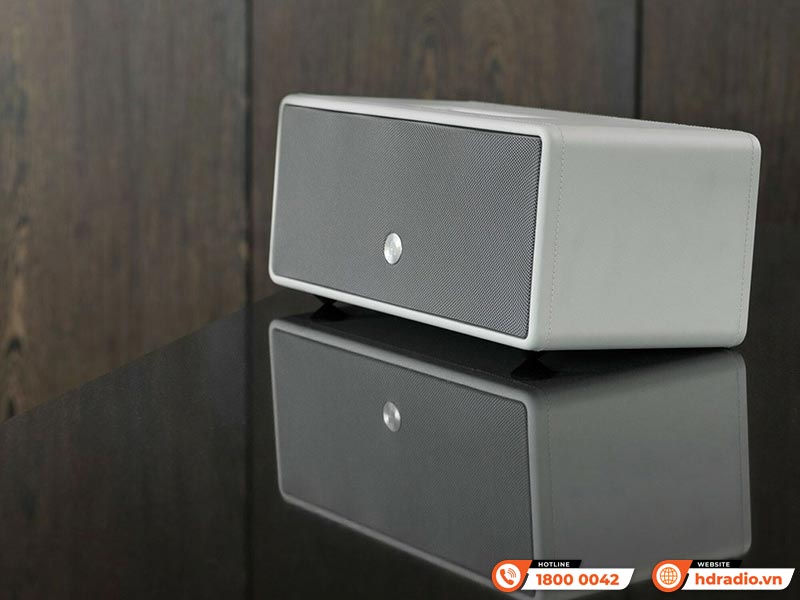 Loa AudioPro DrumFire D-1