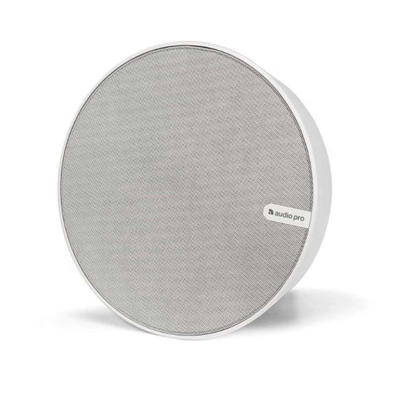 Loa AudioPro SPW-5, Dải Tần 55-20000 Hz, IPX4-4