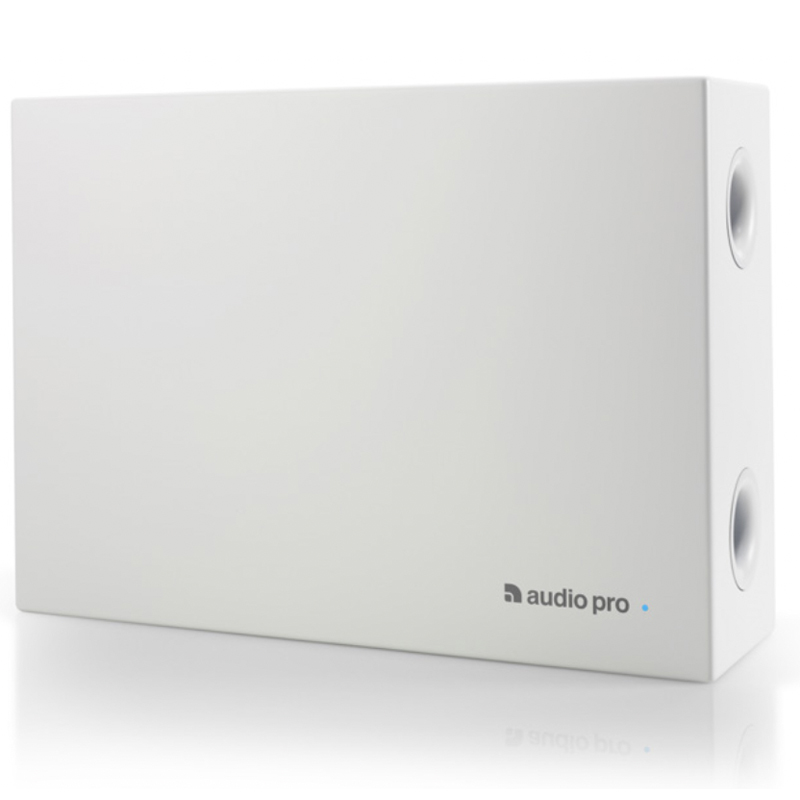 Loa AudioPro SUB-3, Bass 20cm, Công suất 100W-1