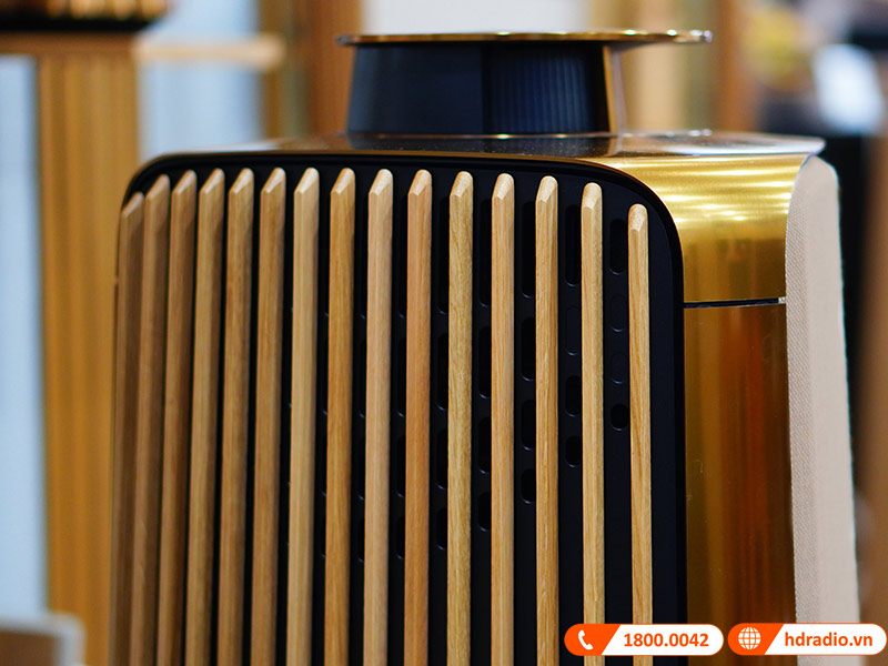 ảnh thực tế Loa B&O Beolab 50