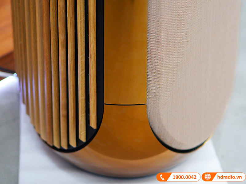 ảnh thực tế Loa B&O Beolab 50