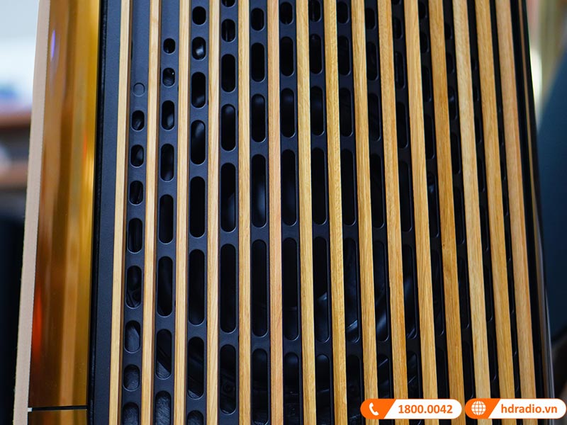 ảnh thực tế Loa B&O Beolab 50