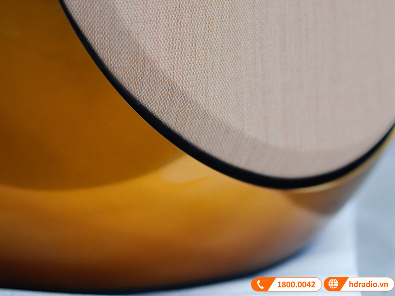 ảnh thực tế Loa B&O Beolab 50