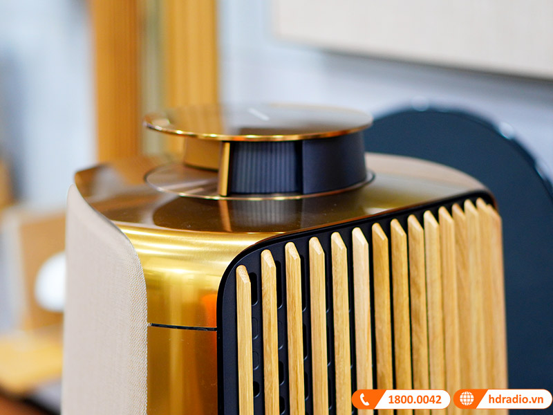 ảnh thực tế Loa B&O Beolab 50