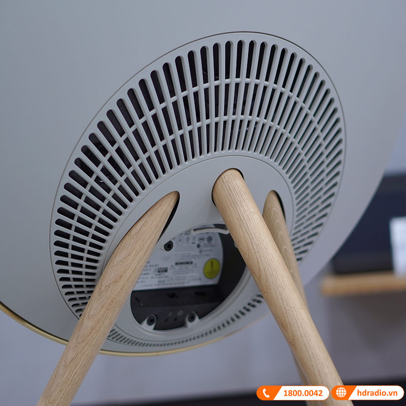 cổng sau loa Beosound A9 MK5