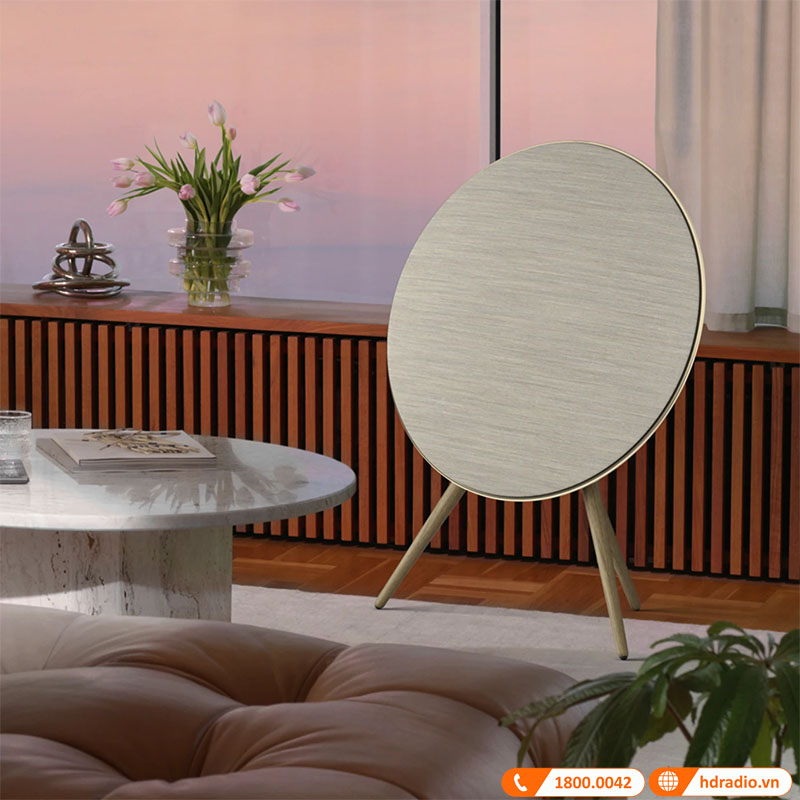 Loa B&O Beosound A9 MK5