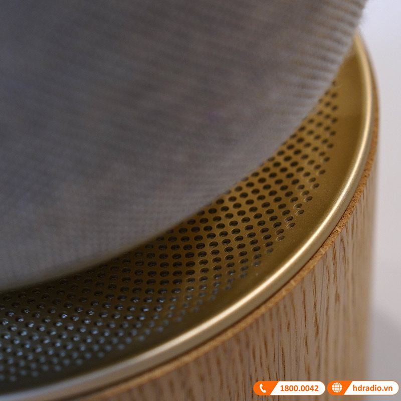 Loa B&O Beosound Balance