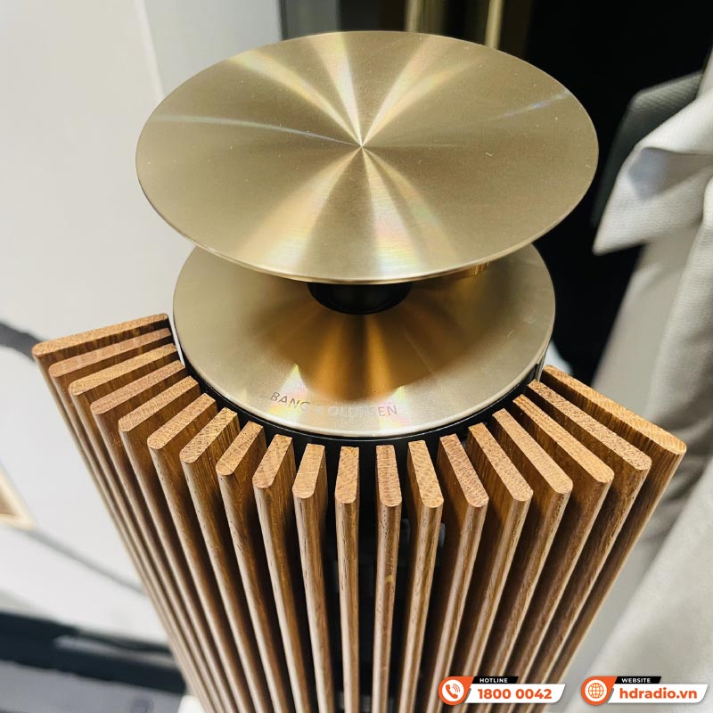 Loa B&O BeoLab 18 tại nhà chị Trang ở Hồ Chí Minh