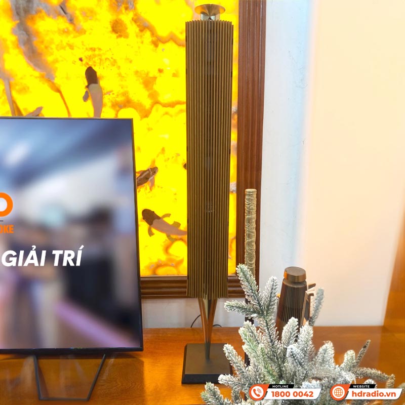 Loa B&O Beolab 18 Chính Hãng, Công Suất 320W/ chiếc, Bluetooth, Wifi, Optical, RCA, Kết nối đa phòng (Cặp loa đứng Hi-End)-6