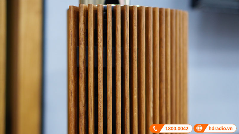 loa-b-o-beolab-18-anh-9