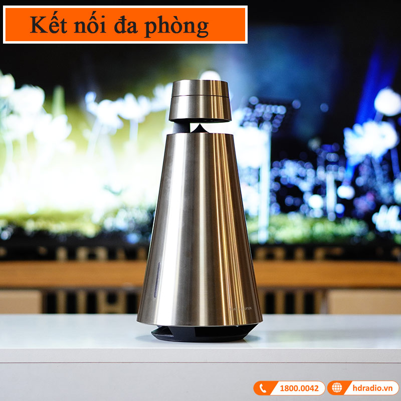 Ket noi da phong Loa BeoSound 1