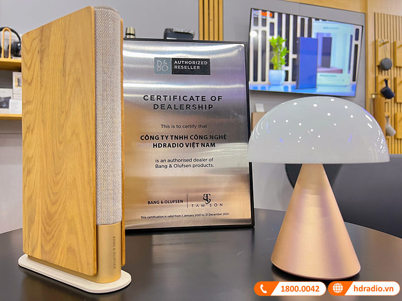 Loa B&O Beosound Emerge