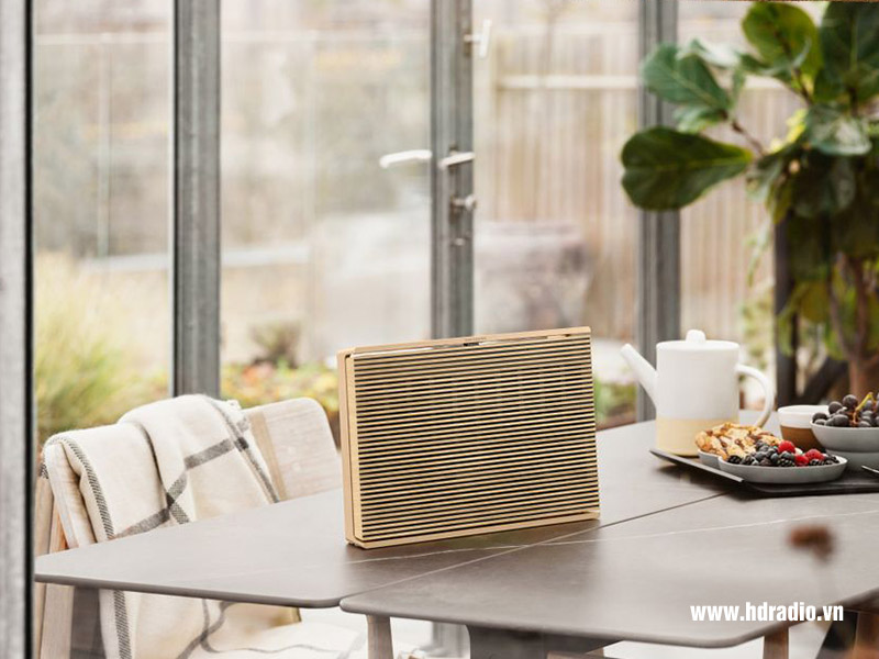 Loa B&O Beosound Level