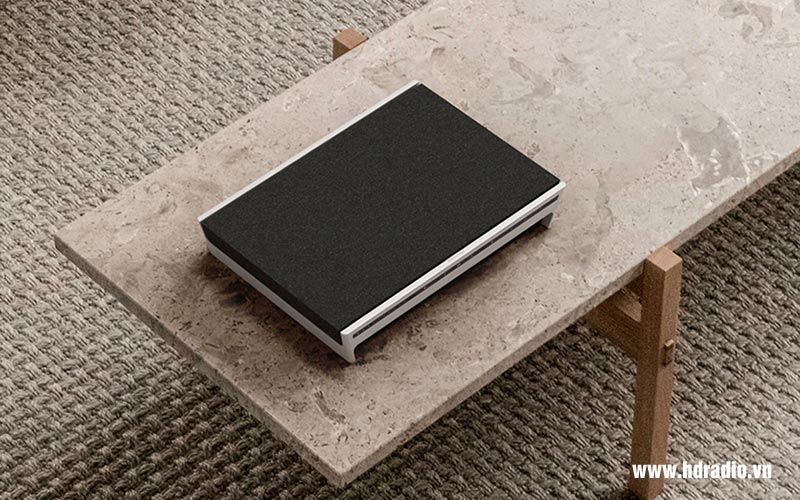 Loa B&O Beosound Level