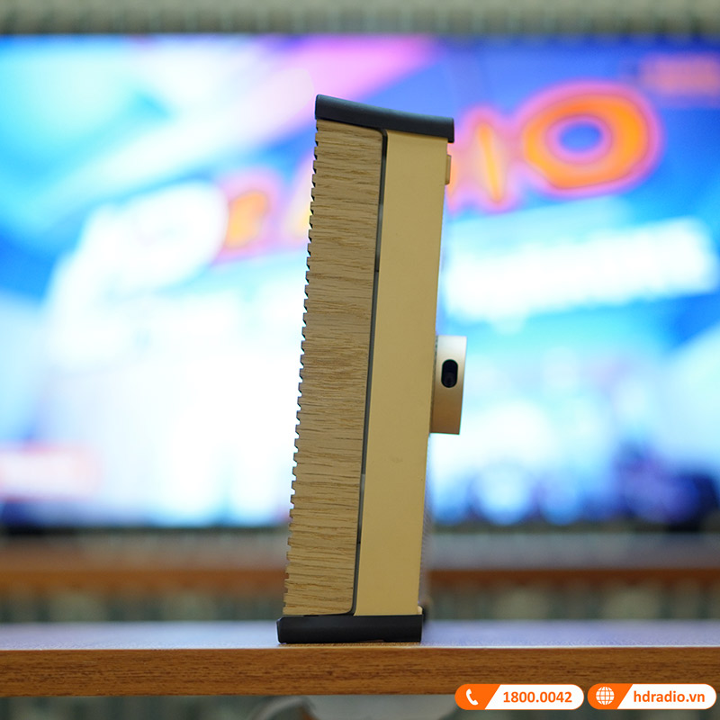 Loa B&O Beosound Level Chính Hãng, Pin 16h, Công Suất 105W, Chống nước IP54-14