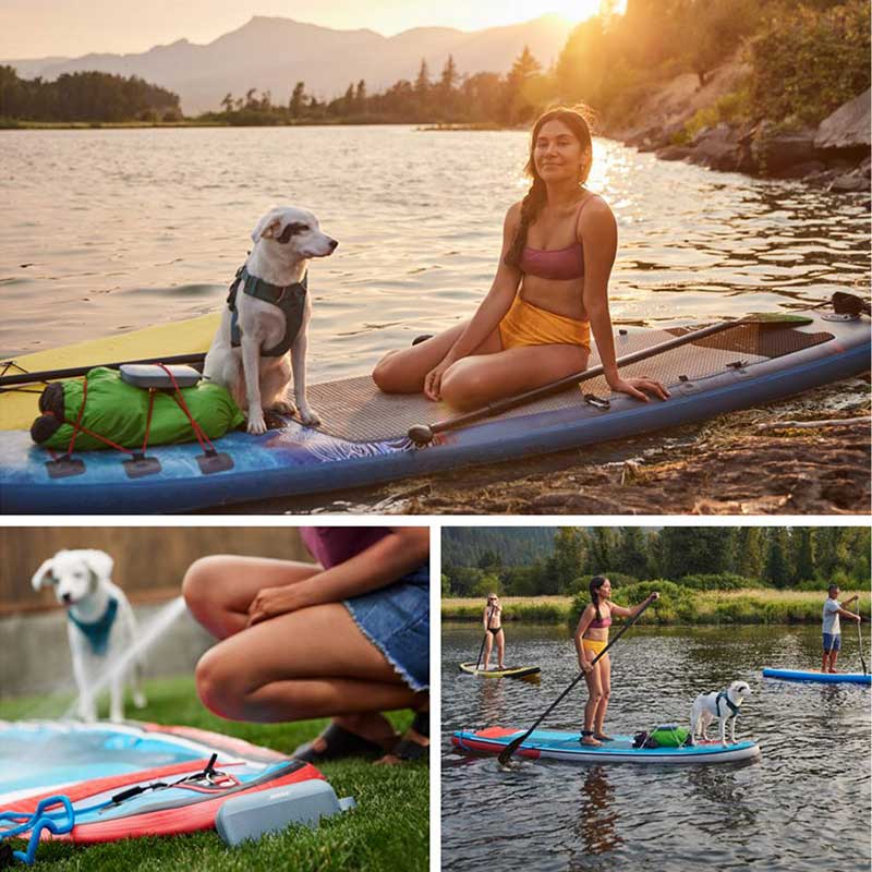 Loa Bose SoundLink Flex-6