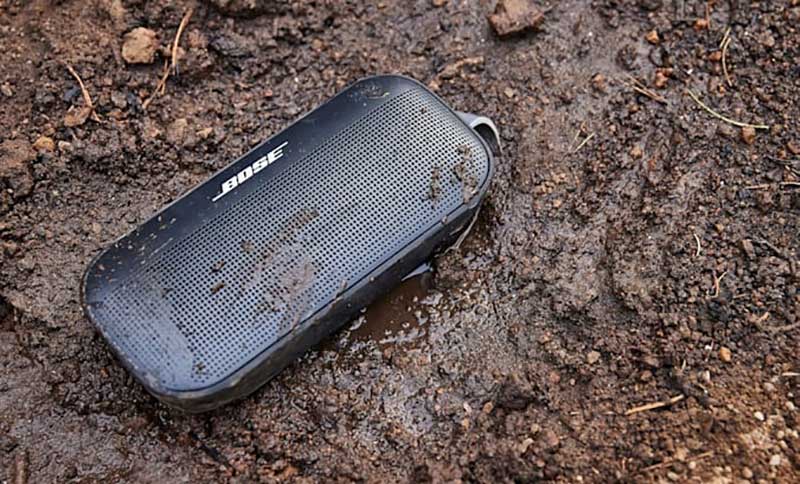 loa Bose SoundLink Flex