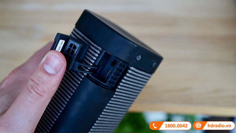 Loa Denon Envaya DSB-250BT