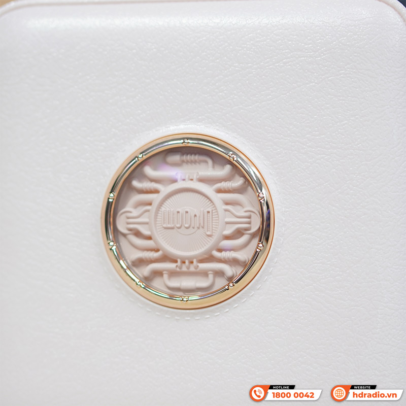 Loa Divoom Fairy-Ok, Công suất 10W, Pin 6h, Bluetooth 5.0, FM radio, kèm 1 micro-2