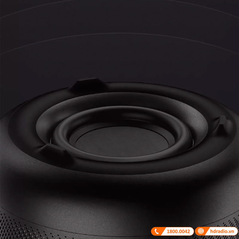 Loa Harman Kardon Allure Essential-3